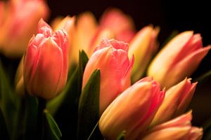 Schöne orangefarbene Tulpen in einem Strauß