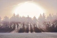 zonsopkomst