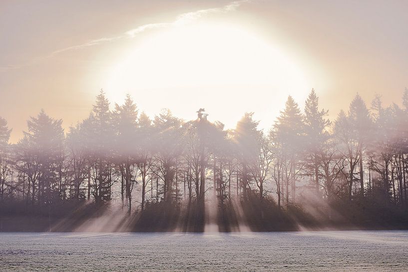 sunrise by Sylvain  Poel