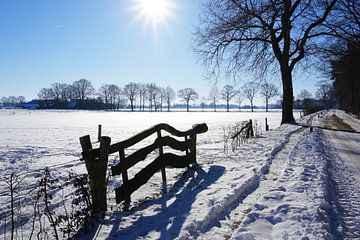 Sneeuwlandschap in Twente van Folkert Jan Wijnstra