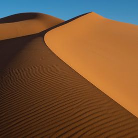 Desert Dunes by Gerrit Kosters