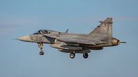 Saab JAS39 Gripen of the Hungarian Air Force. by Jaap van den Berg thumbnail