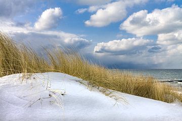 Winter time on shore of the Baltic Sea van Rico Ködder