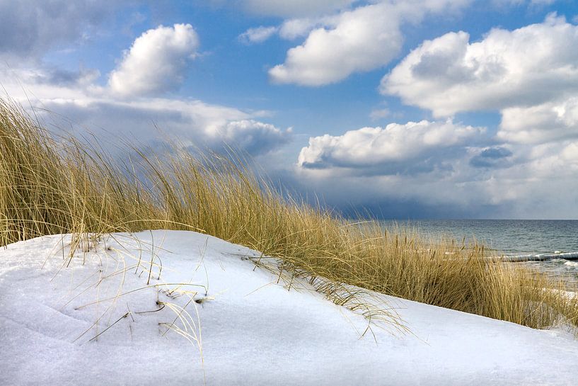 Winter an der Küste der Ostsee van Rico Ködder