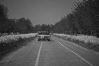 Dutch village 2020, car on the road.