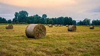 Sommertag-7