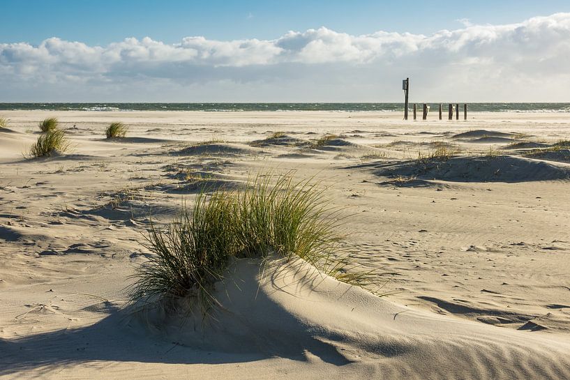 Landschaft in den Dünen auf der Insel Amrum von Rico Ködder