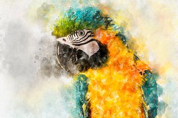 Portrait of a blue yellow parrot by Elles Rijsdijk