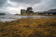 Château d'Eilean Dolan, Écosse par Ab Wubben Aperçu