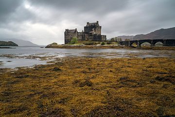 Eilean Dolan Castle, Schotland