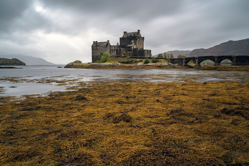 Eilean Dolan Castle, Scotland by Ab Wubben