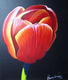 Roodgele Tulp von henry de haan