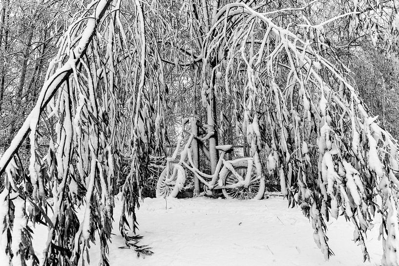 Snowy bicycle in a winter landscape by AwesomePics