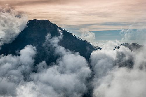 Bergkam met bomen op Lombok