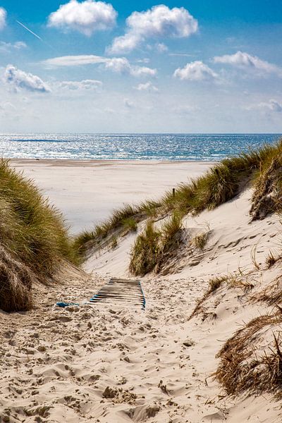 Chemin vers la plage près du phare d'Amrum par Alexander Wolff