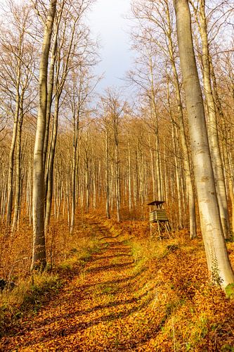 Randonnée hivernale à travers la belle région du Vorderrhön