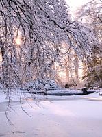 zonnige sneeuw