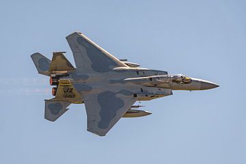 Flyby Bayou Militia McDonnell Douglas F-15C Eagle. by Jaap van den Berg