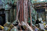 Dschungel-Tempel Angkor von Inge Hogenbijl Miniaturansicht