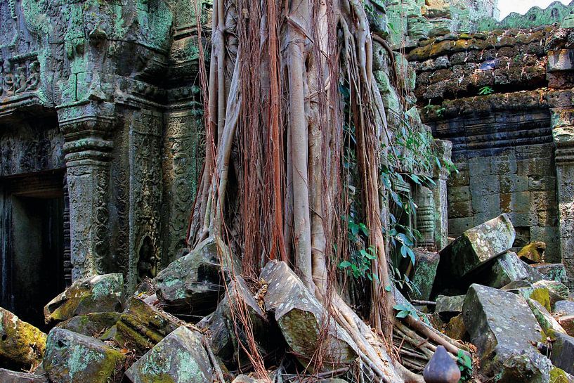 Dschungel-Tempel Angkor von Inge Hogenbijl