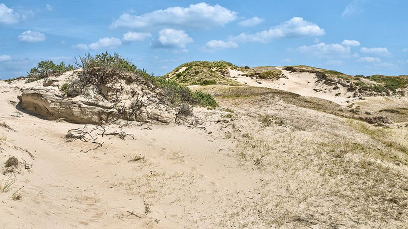 Hollands duinlandschap langs de kust van eric van der eijk