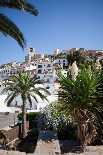 Ibiza Stad - Dalt Vila oude wijk
