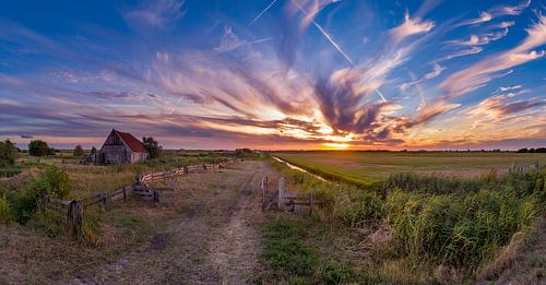 Texel Schapenboet den hoorn bizarre lucht