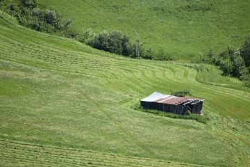 A farm in summer by Claude Laprise