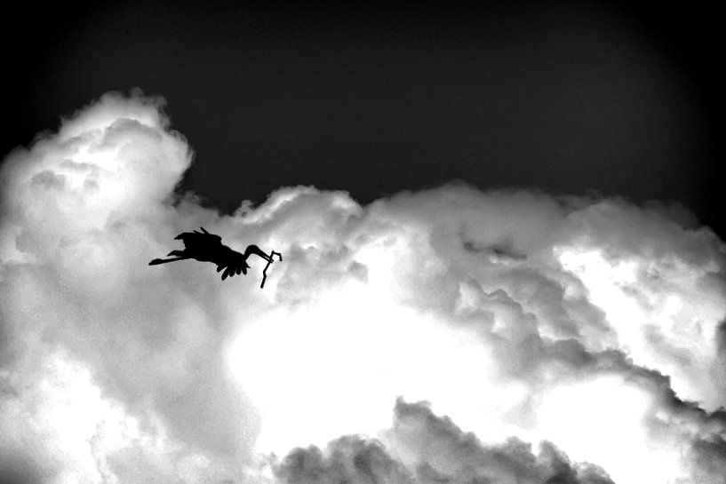 Storch - in the clouds - in the clouds by Reiner Borner
