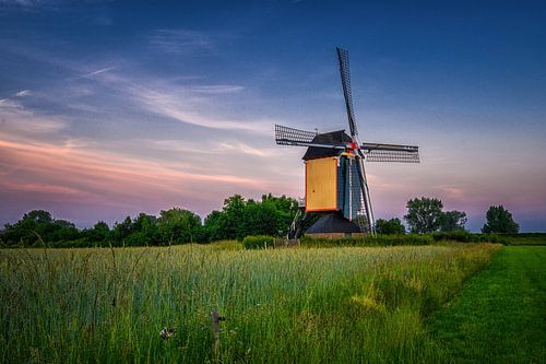 Molen Zeldenrust