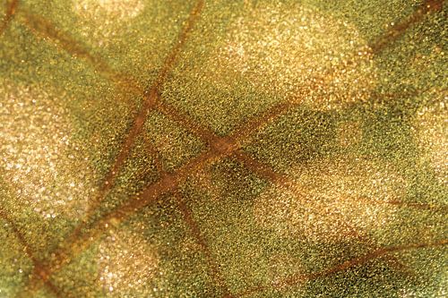 Artistiek stippen en strepen patroon op een blad