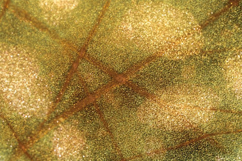 Artistic dots and stripes pattern on a leaf by Lisette Rijkers