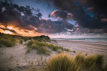 Zonnige Duinen van Arjen Hartog