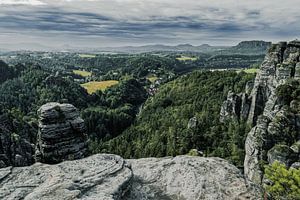 Kleine Gans Sächsische Schweiz
