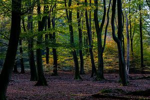 Herbstfarben