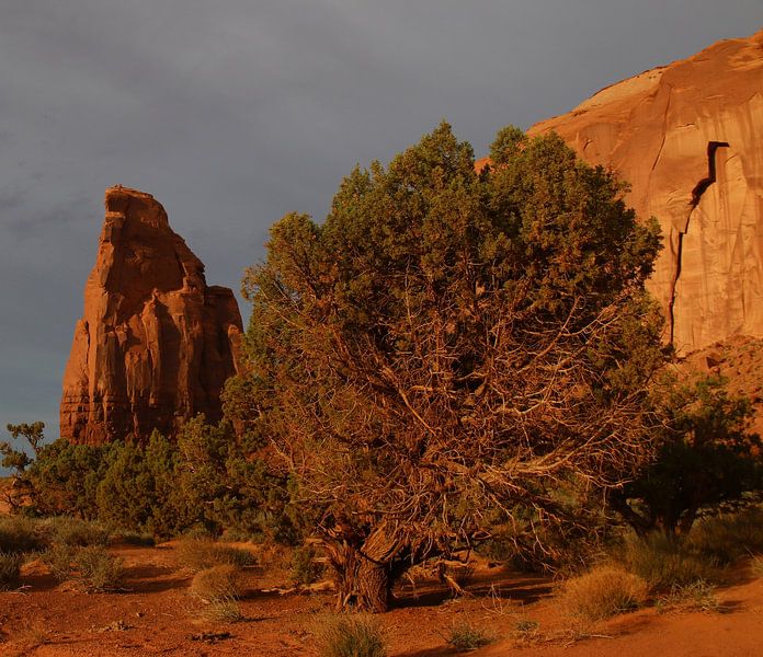 Monument Valley von Matthias Brix