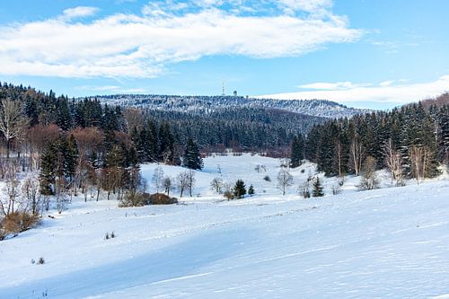 Korte winterwandeling rond de besneeuwde Inselsberg bij Brotterode - Thüringen - Duitsland