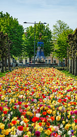 La Mauritsstraat, une rue haute en couleur à Breda sur I Love Breda