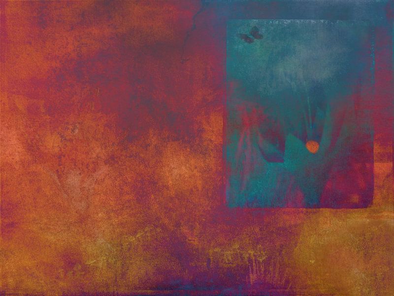 Perception by Delphine Devos