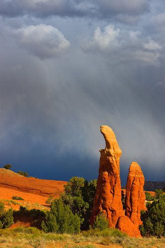 Devils Garden, Grand Staircase-Escalante, Utah