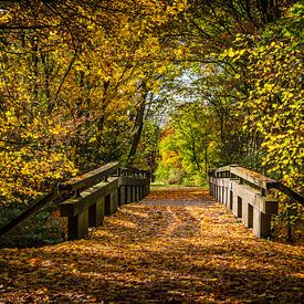 Bemalen einer Brücke im Herbst von Michel Swijgman