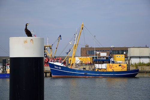Vissersboot HA-43