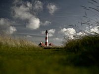 De vuurtoren in de weilanden
