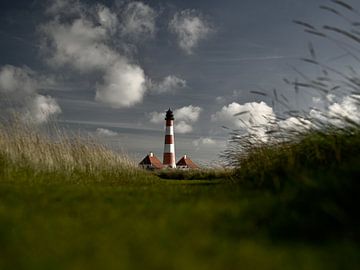 Der Leuchtturm in den Wiesen von Oliver Lahrem