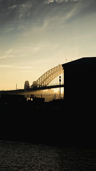 Sydney by Hello Pompoyo