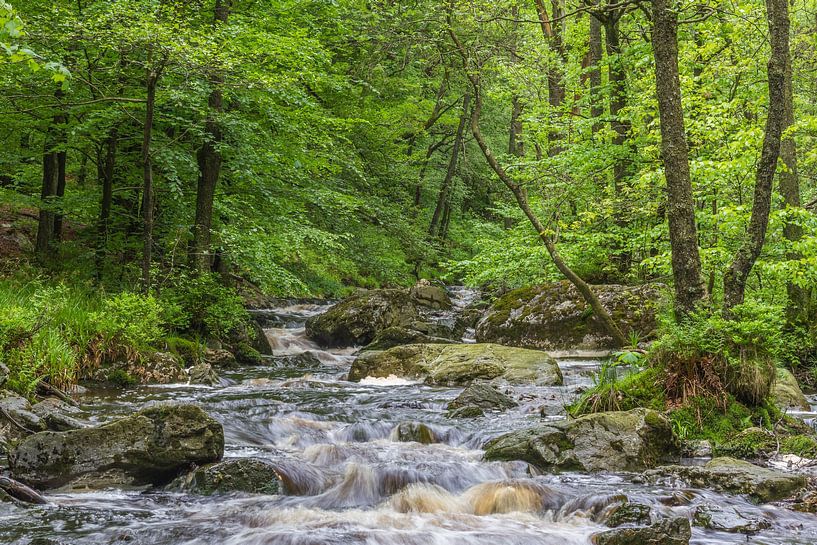 Rivier in Vallee de la Hoëgne van Mario Brussé Fotografie