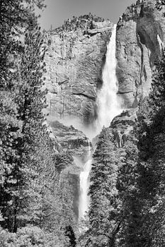 Yosemite National Park