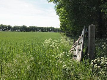 Openstaand hek naar akkerland van Annie Lausberg-Pater