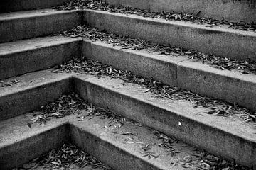 Nature morte réelle - escaliers avec feuilles en noir et blanc sur Lilian Bisschop