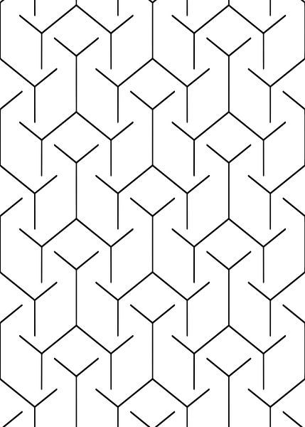 Minimalist Y-Branch Geometry by Art Kingdom